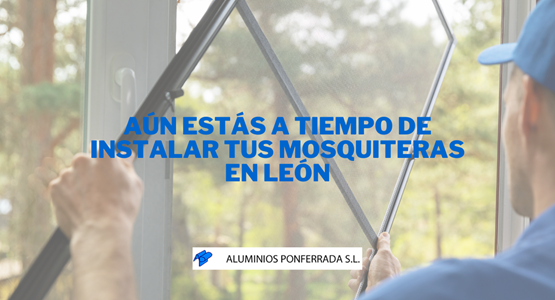 mosquitera León