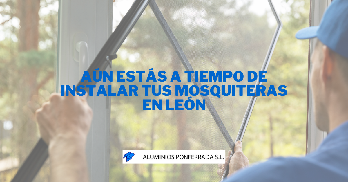 mosquitera León